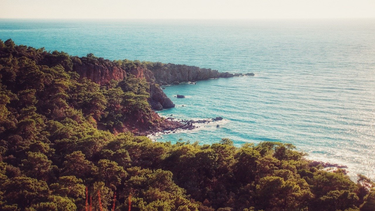 Scenic coastal landscape with dense green forest and rocky cliffs overlooking calm blue ocean waters under clear sky