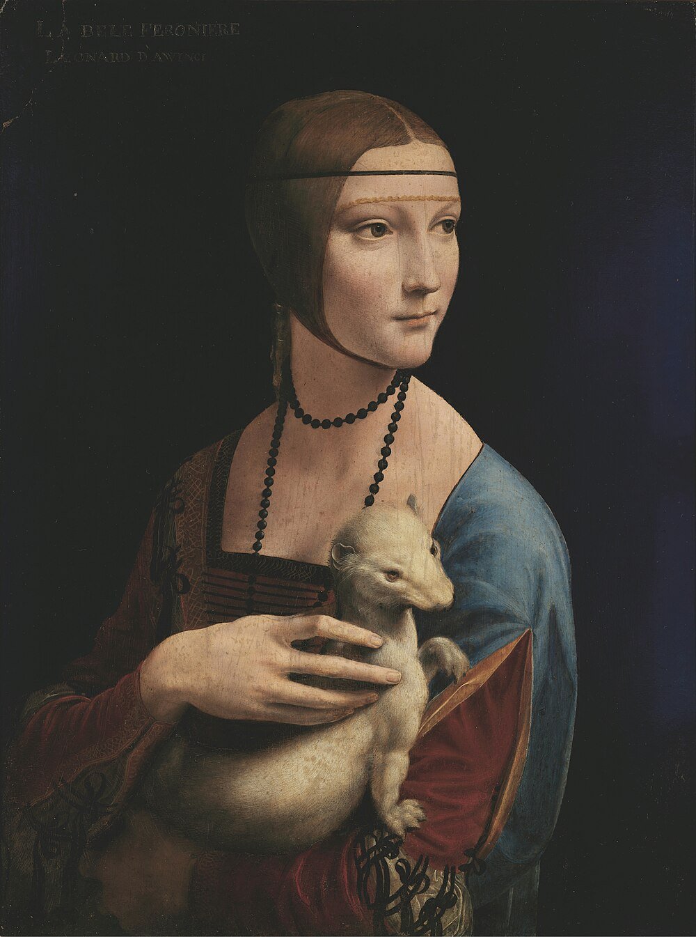 Lady with an Ermine by Leonardo da Vinci Portrait of a woman holding a white ermine, Renaissance painting by Leonardo da Vinci, known as Lady with an Ermine