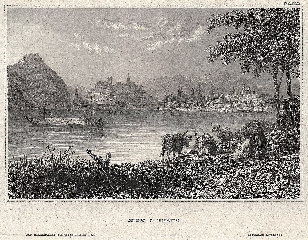 Vintage engraving of Ofen and Pesth cityscape Vintage engraving of Ofen and Pesth showing river, boats, historic buildings, cattle, and people by the riverside
