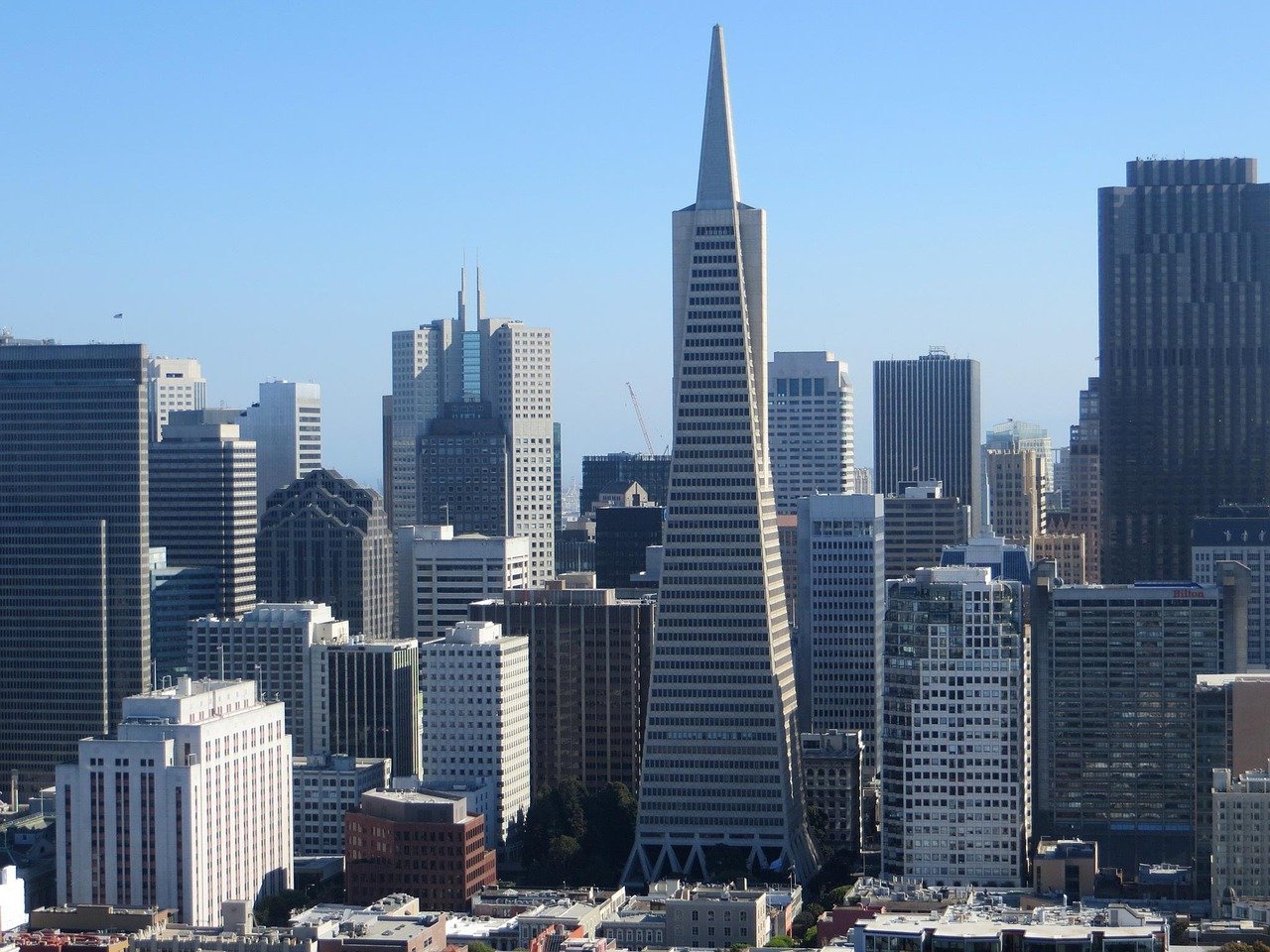 San Francisco skyline featuring the iconic Transamerica Pyramid and surrounding modern skyscrapers under a clear blue sky