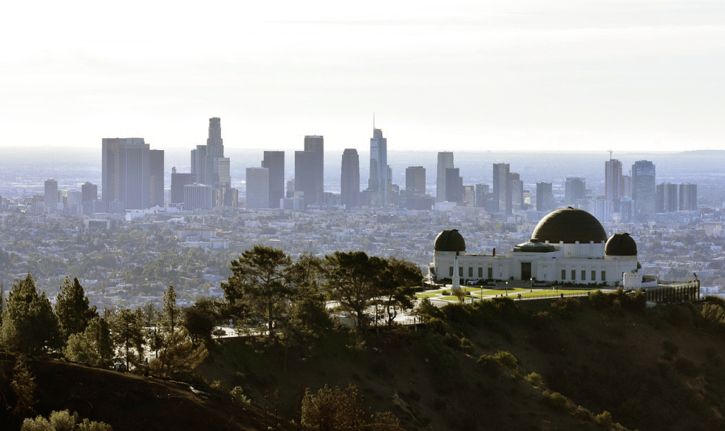 Los Angeles cityscape with palm trees and downtown skyline