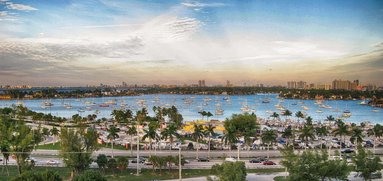 Miami marina with sailboats and city skyline Scenic view of Miami marina with numerous sailboats, palm trees, and city skyline under a partly cloudy sky