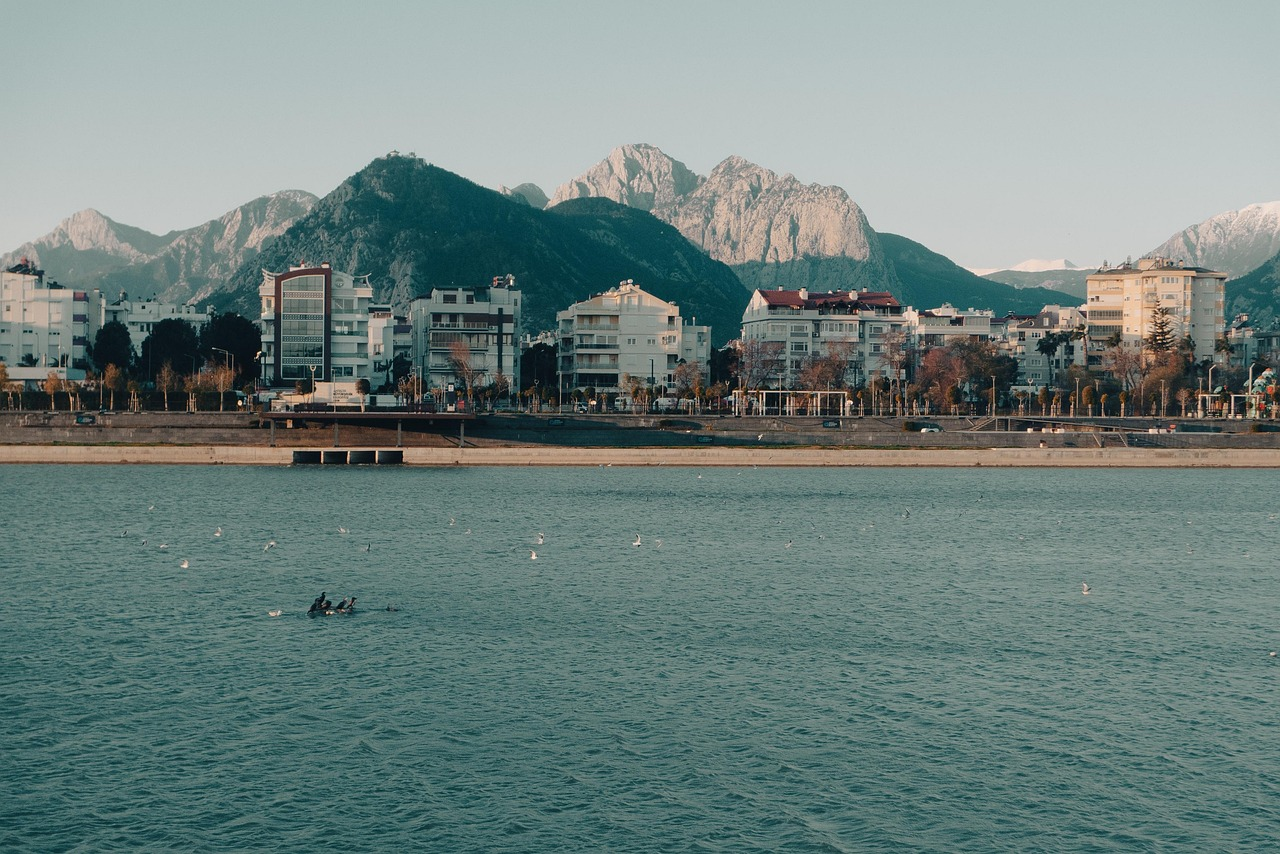 City waterfront with mountains and birds Waterfront cityscape with residential buildings, mountains in the background, and birds flying over the water