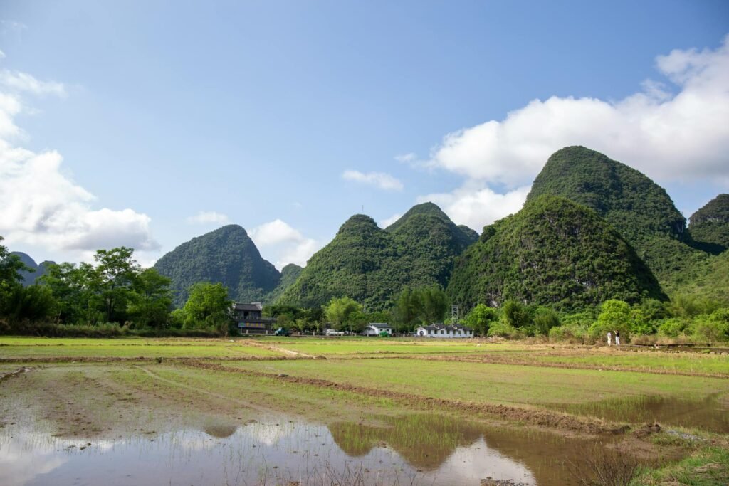Lush green rice fields against the scenic karst mountains of Yangshuo, Guilin — the limestone-peak landscape of southern Guangxi that has been called 'the best under heaven' since the Song dynasty