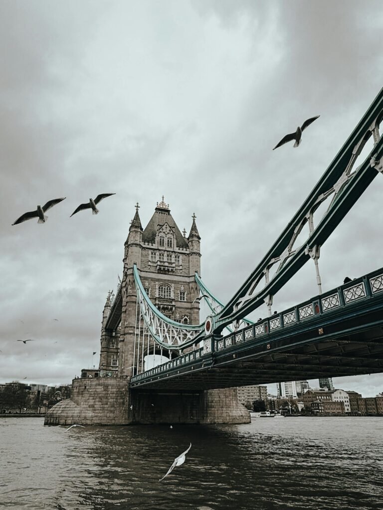 London Tower Bridge with birds flying overhead capturing the moody urban riverside landscape