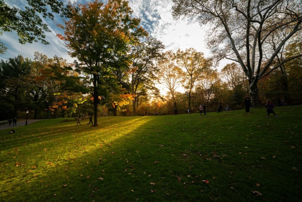 Beautiful autumn sunset in Central Park New York City showcasing vibrant fall colors and Manhattan skyline