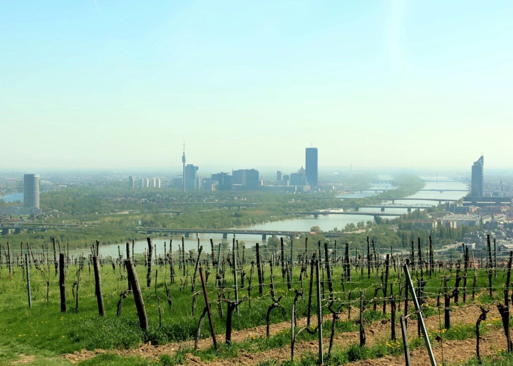 Vienna's skyline viewed from a vineyard on the city's edge in spring